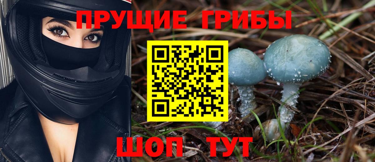 Галлюциногенные грибы MAGIC MUSHROOMS  Вход с VPN  Ирбит 
